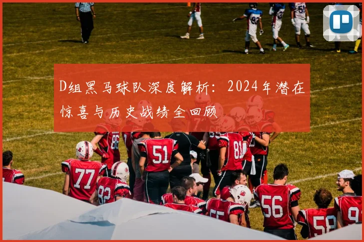 D组黑马球队深度解析：2024年潜在惊喜与历史战绩全回顾