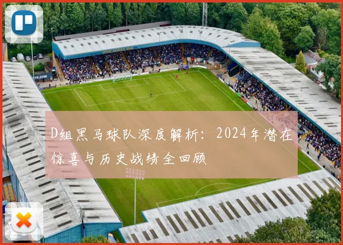 D组黑马球队深度解析:2024年潜在惊喜与历史战绩全回顾